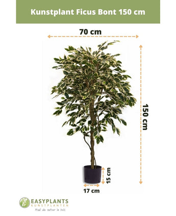 Kunstplant Ficus Bont 150 cm