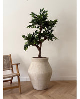 Kunstplant Ficus Crazy 120 cm