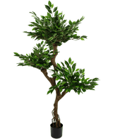 Kunstplant Ficus Crazy 150 cm