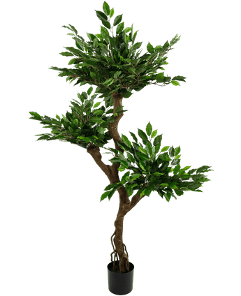 Kunstplant Ficus Crazy 150 cm