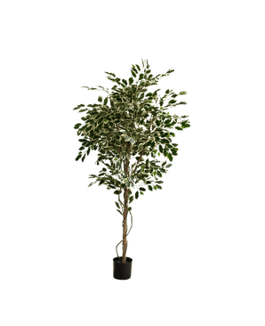 Kunstplant Ficus Exotica 165 cm