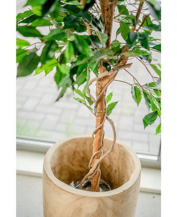 Kunstplant Ficus Groen 150 cm