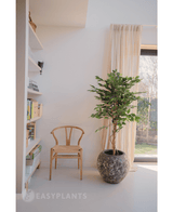 Kunstplant Ficus Groen 150 cm