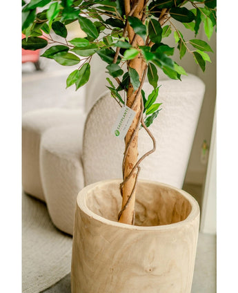 Kunstplant Ficus Groen 180 cm