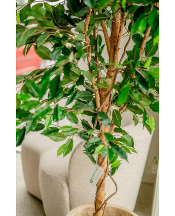 Kunstplant Ficus Groen 180 cm