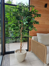 Kunstplant Ficus Groen 180 cm