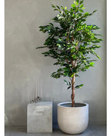 Kunstplant Ficus Groen 180 cm