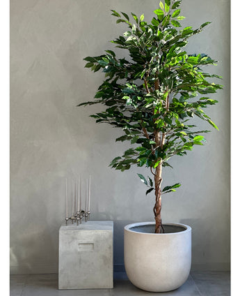 Kunstplant Ficus Groen 180 cm