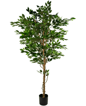 Kunstplant Ficus Groen 210 cm