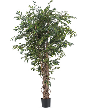 Kunstplant Ficus Liana 180 cm