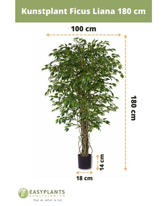 Kunstplant Ficus Liana 180 cm