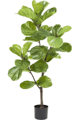 Kunstplant Ficus Tabaksplant Deluxe 125 cm