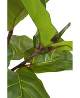 Kunstplant Ficus Tabaksplant Deluxe 155 cm