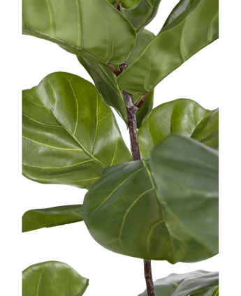 Kunstplant Ficus Tabaksplant Deluxe 180 cm