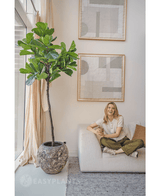 Kunstplant Ficus Tabaksplant Deluxe 215 cm