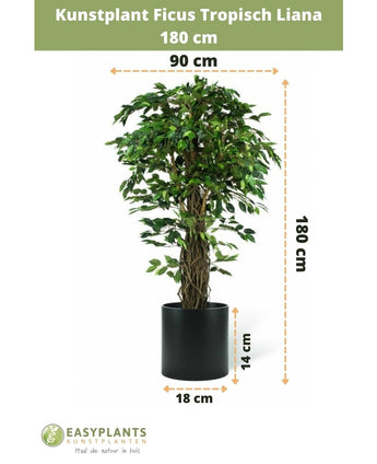 Kunstplant Ficus Tropical Liana 180 cm