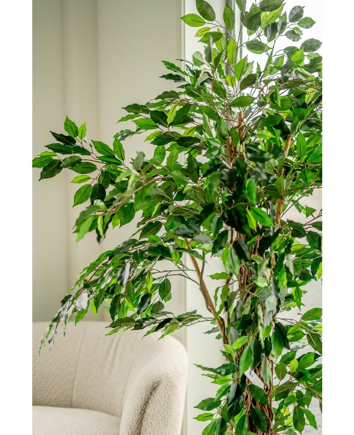 Kunstplant Ficus Tropical Liana 180 cm