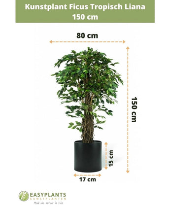 Kunstplant Ficus Tropisch Liana 150 cm