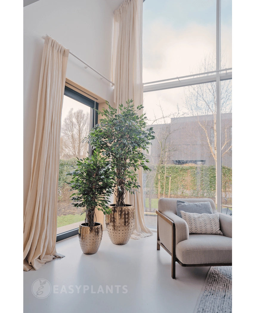 Kunstplant Ficus Tropisch Liana 150 cm