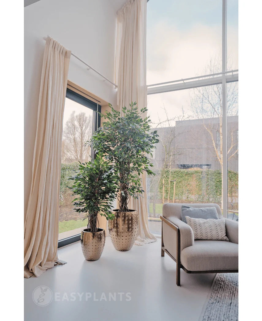 Kunstplant Ficus Groen 210 cm -Easyplants Kunstplanten Kunstplant Ficus Groen 210 cm -Easyplants Kunstplanten