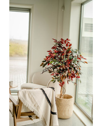 Kunstplant Ficus groen/rood 150 cm