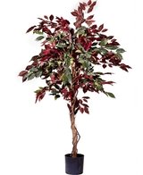 Kunstplant Ficus groen/rood 150 cm