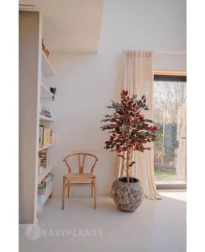 Kunstplant Ficus groen/rood 150 cm