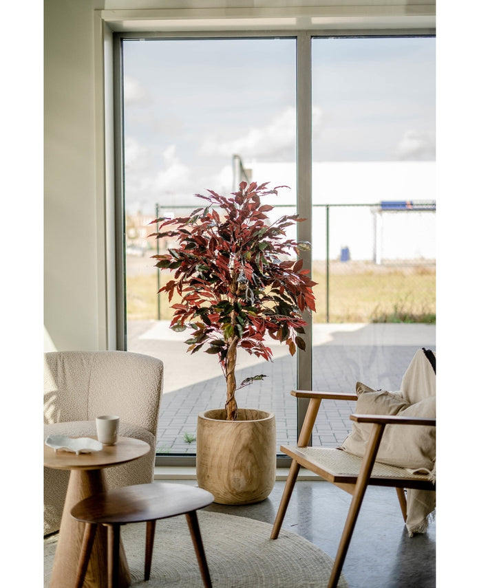 Kunstplant Ficus groen/rood 150 cm