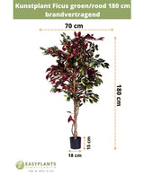 Kunstplant Ficus groen/rood 180 cm brandvertragend