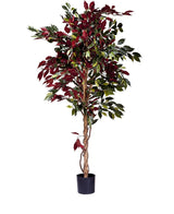 Kunstplant Ficus groen/rood 180 cm brandvertragend