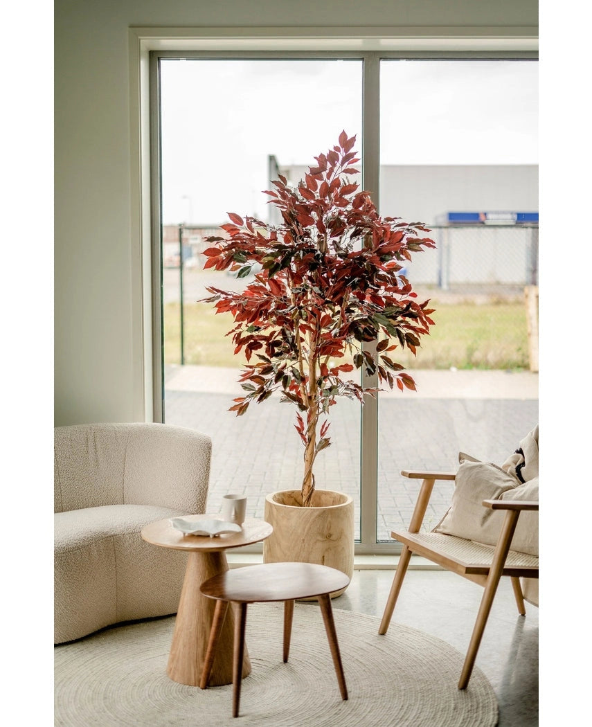 Kunstplant Ficus groen/rood 180 cm brandvertragend