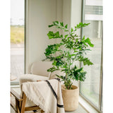 De Kunstplant Fishtail Palm 160 cm staat in een pot naast een gezellige fauteuil met een lichte plaid, in een lichte kamer met grote ramen die veel natuurlijk licht binnenlaten.