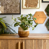 De Kunstplant Gouden Wijnstok in Pot 25cm staat op een houten kast met verticale groeven, met ingelijste kunst en zeshoekige wanddecoratie op de lichtgekleurde muur erachter.