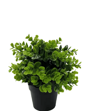 Kunstplant Groen in pot 22 cm UV