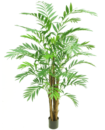 Kunstplant Hawaii Parlour 180 cm