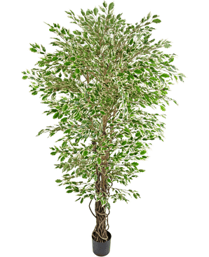 Kunstplant Hawaiian Ficus Liana 180 cm