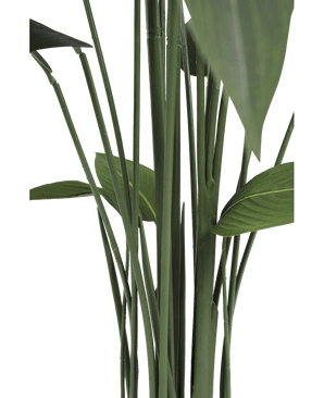 Kunstplant Heliconia 160 cm