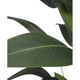 Close-up van grote, langwerpige groene bladeren met prominente nerven tegen een witte achtergrond. Het gelaagde patroon is typerend voor de Kunstplant Heliconia 160 cm - een onderhoudsvrije plant die perfect is voor elke ruimte.