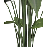 Close-up van hoge, groene Kunstplant Heliconia 160 cm stengels en brede bladeren tegen een witte achtergrond. De afbeelding benadrukt de verticale rangschikking en natuurlijke textuur van deze onderhoudsvrije plant.