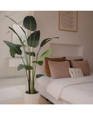 Kunstplant Heliconia 180 cm