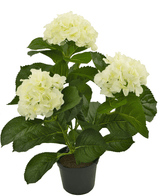 Kunstplant Hortensia Wit 35 cm