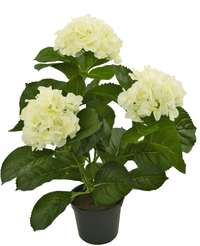 Kunstplant Hortensia Wit 35 cm