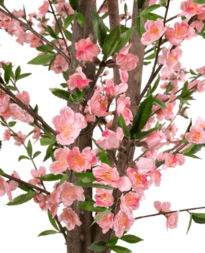 Kunstplant Kersenbloesem 180 cm roze
