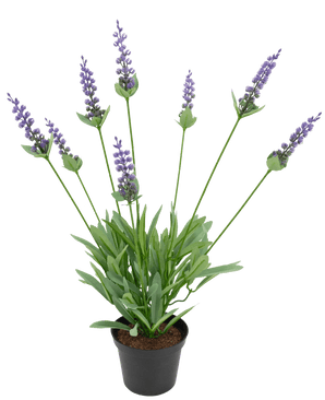 Kunstplant Lavendel 43 cm