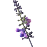 De Kunstplant Lavendel 51 cm in sierpot heeft een enkele hoge stengel met kleine, ronde paarse en groene knoppen en bloemen die verticaal zijn gerangschikt, tegen een witte achtergrond.
