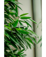 Kunstplant Longifolia Royaal 150 cm