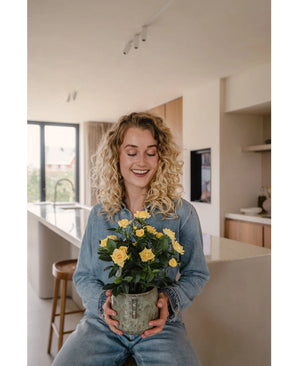 ZIOYA 4 stuks kunstbloemen, kunstbloemen, inpot, kunstplanten voor binnen en buiten, café, badkamer, woonkamer, balkon, kantoor, decoratie ZIOYA 4 stuks kunstbloemen, kunstbloemen, inpot, kunstplanten voor binnen en buiten, café, badkamer, woonkamer, balkon, kantoor, decoratie