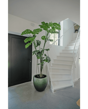 Kunstplant Monstera 210 cm