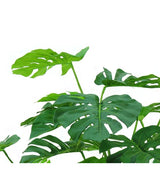 Kunstplant Monstera op stam 145 cm