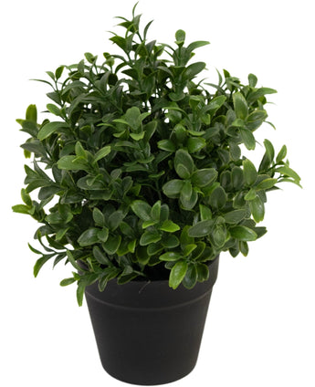 Kunstplant Murraya 21 cm
